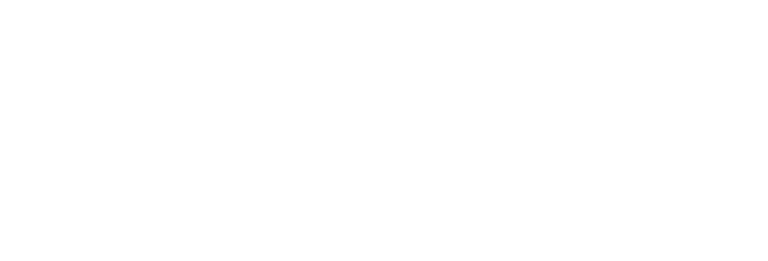 WordPress-logotype-standard-white